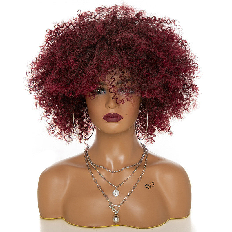Soft Kinky Curly Afro Wig | Full Head Coily Texture Hairpiece