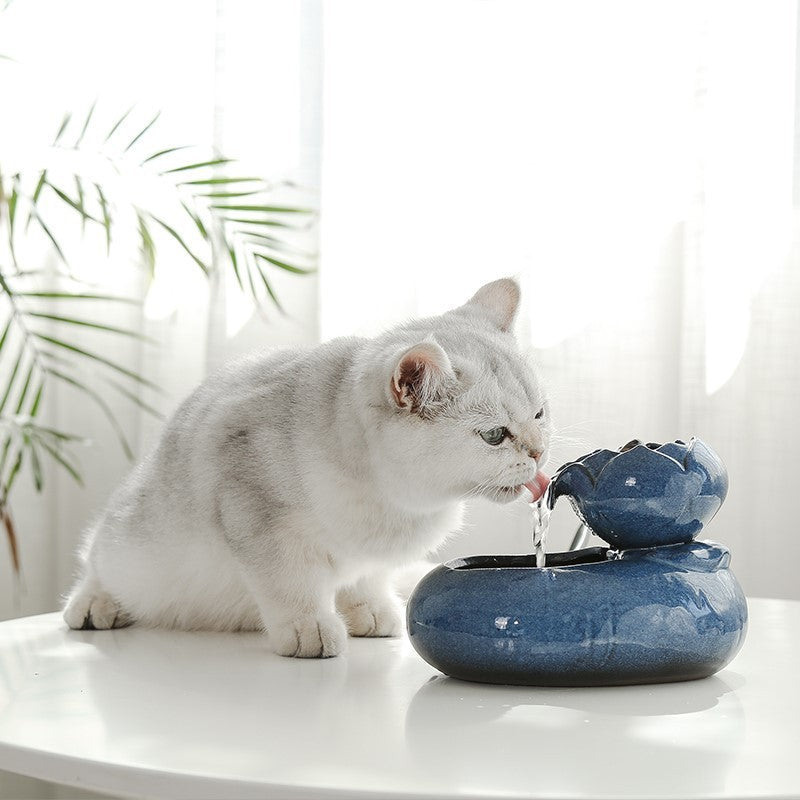 Large Capacity Cat Feeder Water Feeder | Dual Automatic Gravity Supply Station