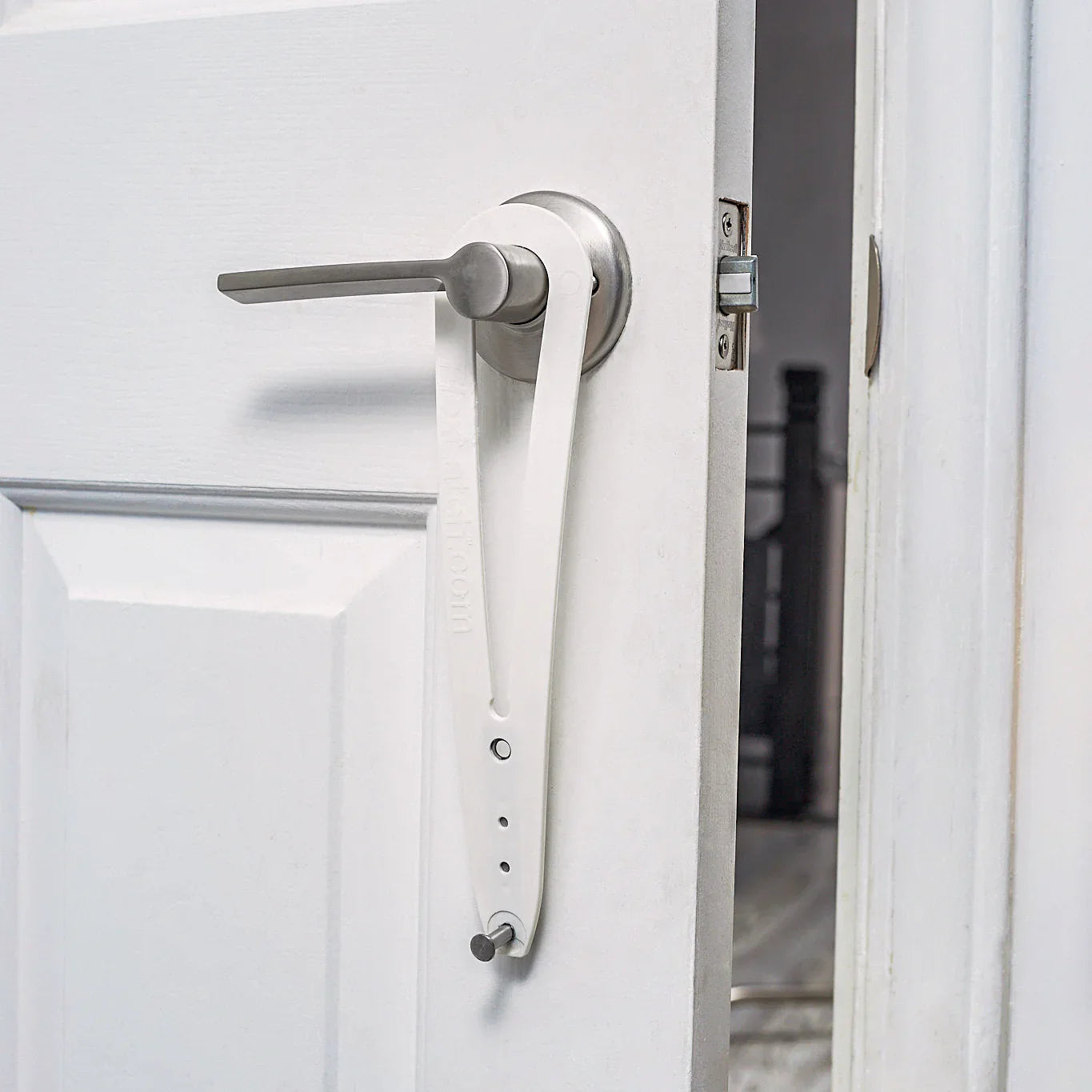 Cat Door Holder