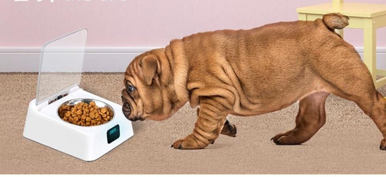 Next-Gen Pet 5G Smart Feeder | Programmable Automatic Food Dispenser