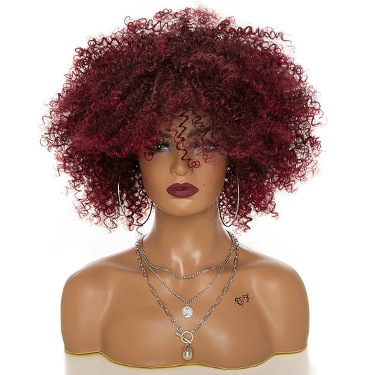Soft Kinky Curly Afro Wig | Full Head Coily Texture Hairpiece