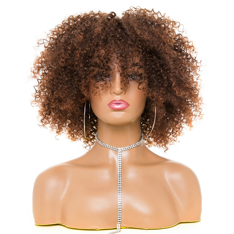 Soft Kinky Curly Afro Wig | Full Head Coily Texture Hairpiece